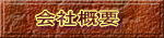 ЊTv